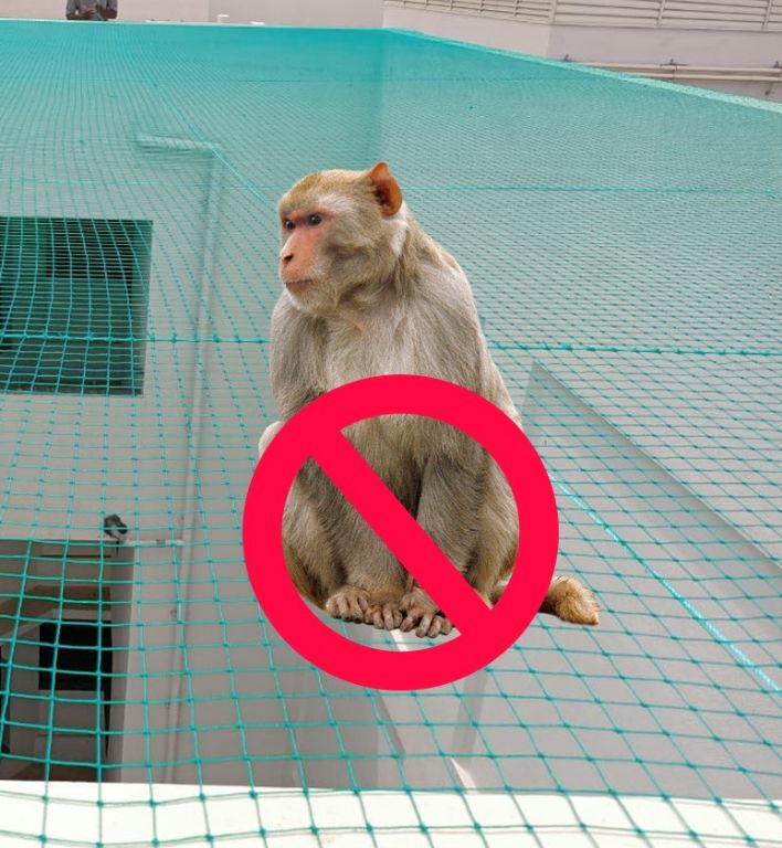 Monkey Safety Nets in Bangalore | Call 7892096725 for price quote